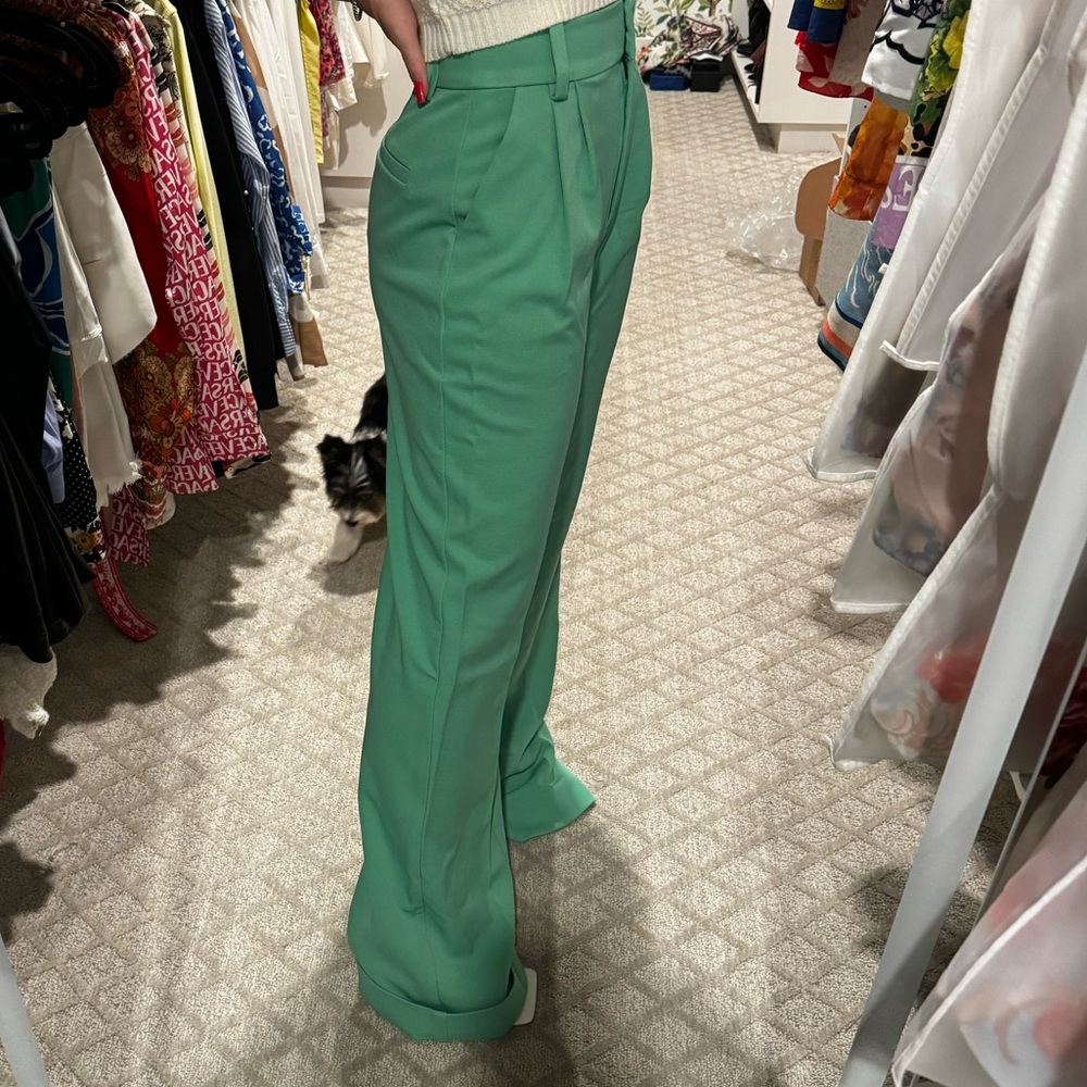 Favorite Daughter Green Trousers Size 2